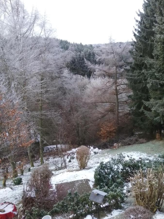 Appartement Perlenbachtal à Montjoie Extérieur photo