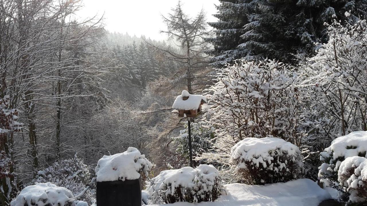 Appartement Perlenbachtal à Montjoie Extérieur photo