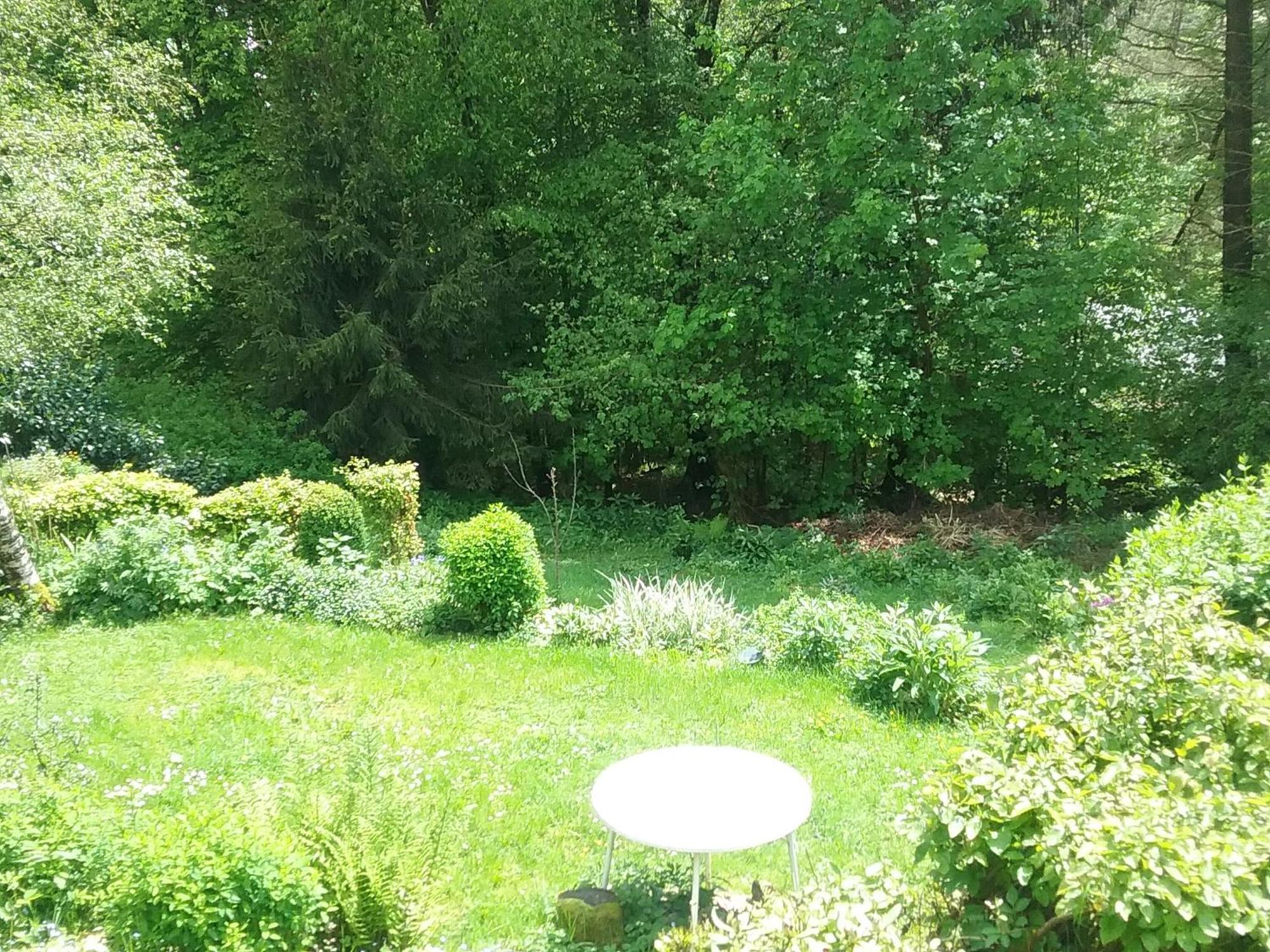 Appartement Perlenbachtal à Montjoie Extérieur photo