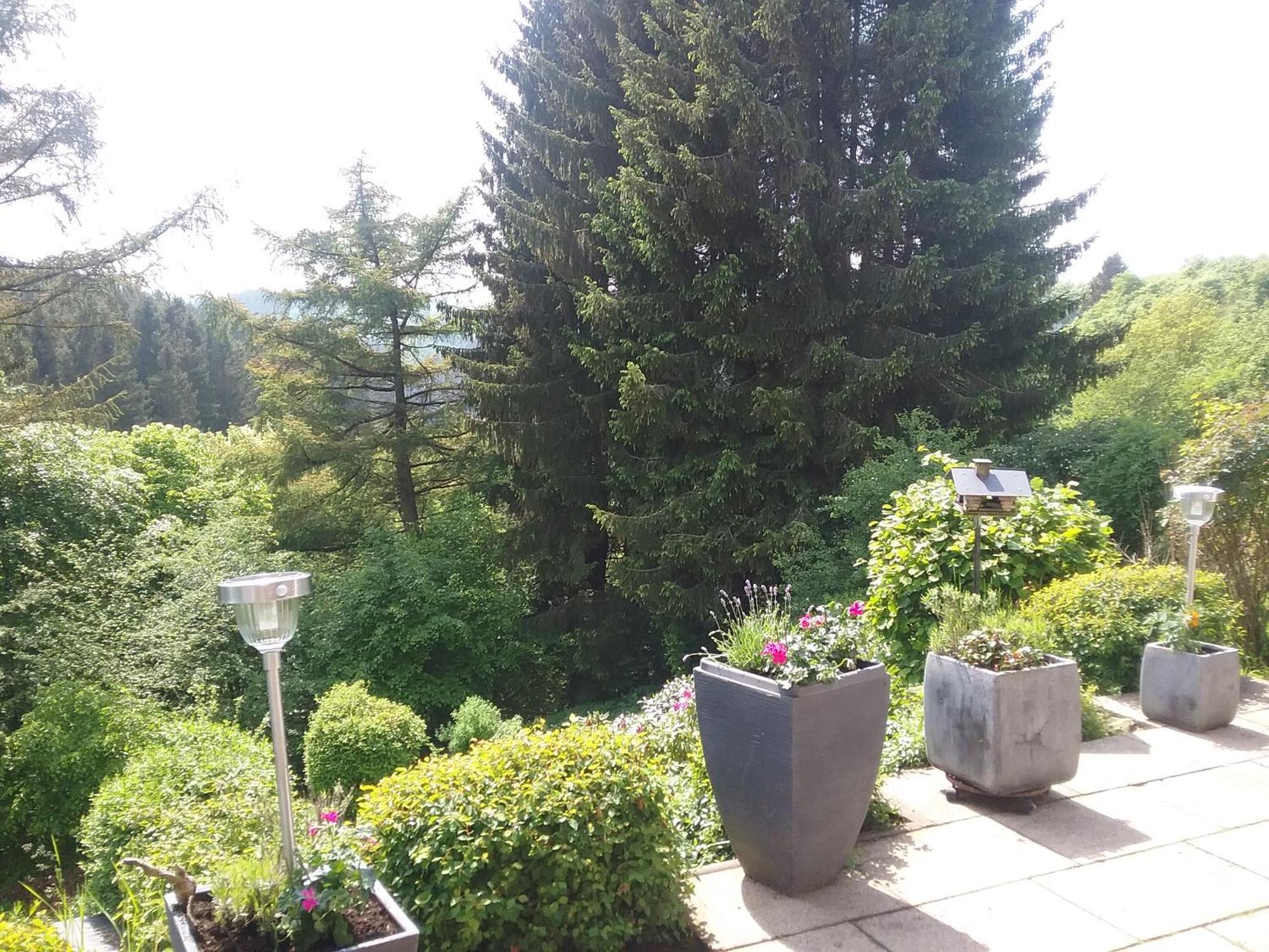 Appartement Perlenbachtal à Montjoie Extérieur photo