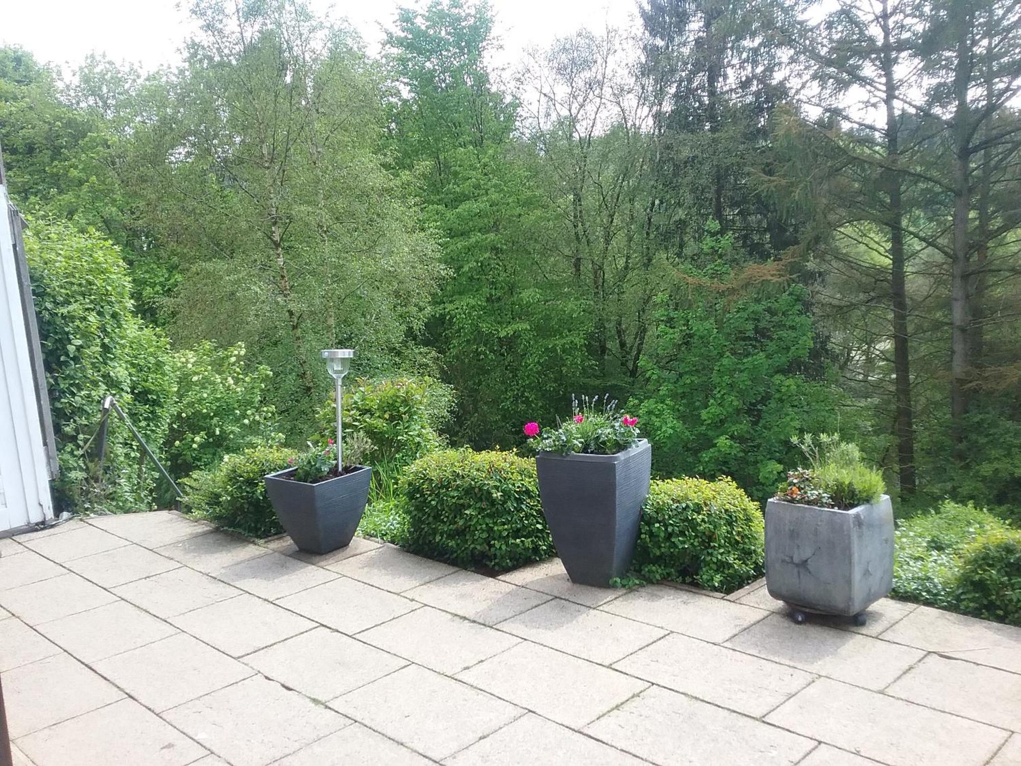 Appartement Perlenbachtal à Montjoie Extérieur photo